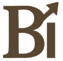 Biznvestor